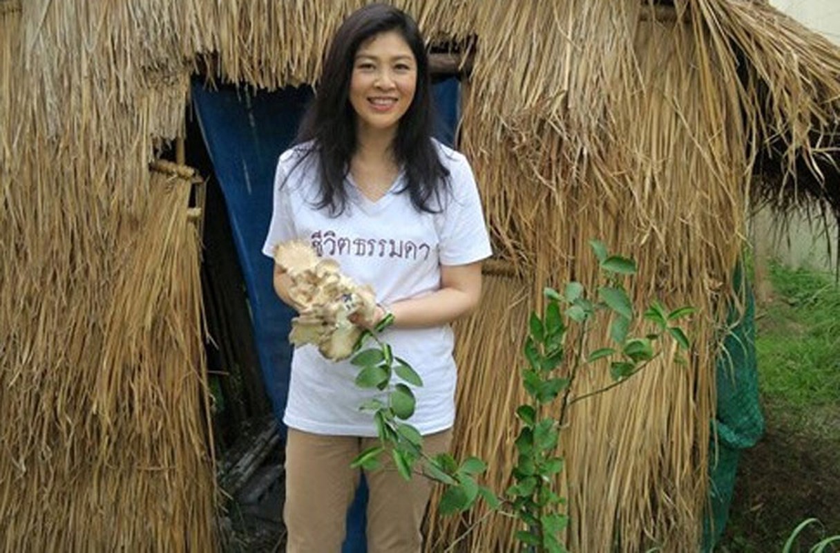 Cuu Thu tuong Thai Lan Yingluck tuoi tan o nong trang-Hinh-6